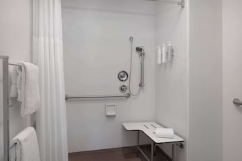 Room, 1 Queen Bed, Accessible (Mobility & Roll-In Shower)