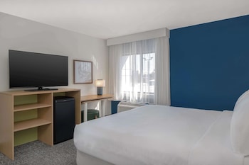Suite, 1 King Bed