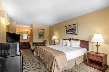 Standard Room, 1 King Bed, Non Smoking