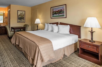 Standard Room, 1 King Bed, Non Smoking