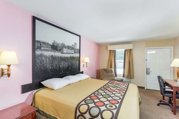 Room, 1 King Bed, Non Smoking