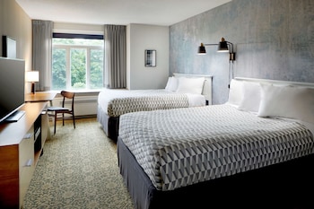 Room, 2 Double Beds