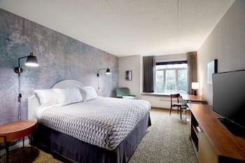 Room, 1 King Bed