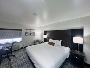 Standard Room, 1 King Bed, Non Smoking