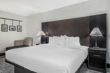 Standard Room, 1 King Bed, Non Smoking