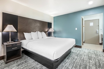 Standard Room, 1 King Bed, Non Smoking