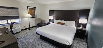 Suite, 1 King Bed, Non Smoking