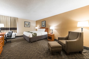 1 King Bed, Nonsmoking, Accessible