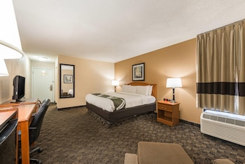 Standard Room, 1 King Bed, Non Smoking