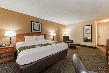 1 King Bed, Nonsmoking, Accessible