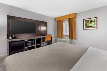 Standard Room, 1 King Bed, Non Smoking