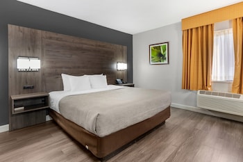 Room, 1 King Bed, Accessible, Non Smoking