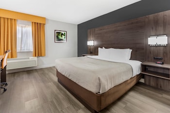 Standard Room, 1 King Bed, Non Smoking
