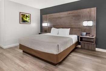 Room, 1 King Bed, Accessible, Non Smoking