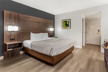 Standard Room, 1 King Bed, Non Smoking