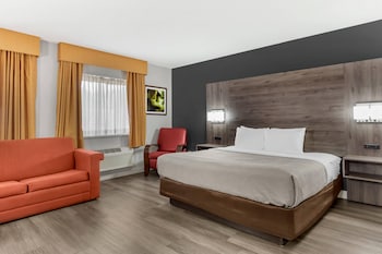 Room, 1 King Bed with Sofa bed, Non Smoking