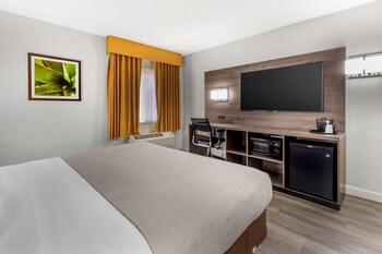 Room, 1 King Bed, Accessible, Non Smoking