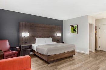 Room, 1 King Bed with Sofa bed, Non Smoking