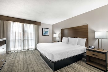 Suite, 1 King Bed, Non Smoking, Refrigerator & Microwave (with Single Sofabed)