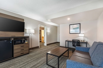Suite, 1 King Bed, Non Smoking, Refrigerator & Microwave (with Single Sofabed)