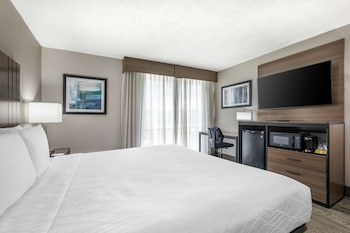 Standard Room, 1 King Bed, Accessible, Refrigerator & Microwave