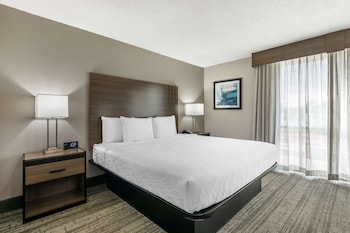 Standard Room, 1 King Bed, Accessible, Refrigerator & Microwave