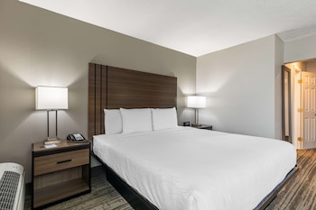 Standard Room, 1 Queen Bed, Non Smoking, Refrigerator & Microwave