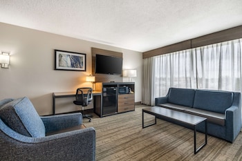 Standard Room, 1 King Bed, Non Smoking, Refrigerator & Microwave (with Single Sofabed)