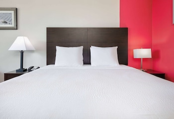Room, 1 King Bed, Non Smoking (Pet-Friendly, Exterior)