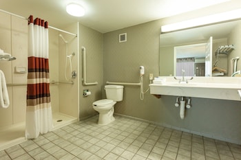 Standard Room, 2 Double Beds, Accessible, Non Smoking (Roll-In Shower)