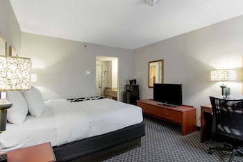 Room, 1 King Bed, Non Smoking