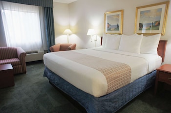 Deluxe Room, 1 King Bed, Non Smoking (Deluxe Executive Room)