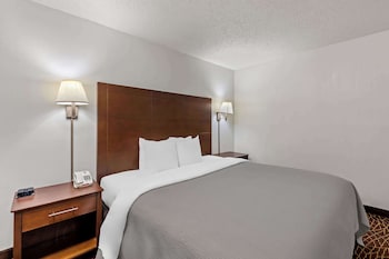 Room, 1 King Bed, Non Smoking