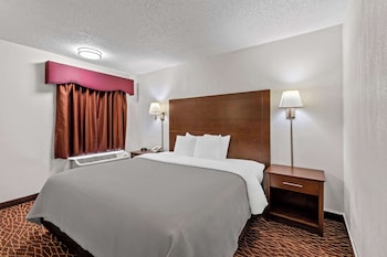 Room, 1 King Bed, Non Smoking