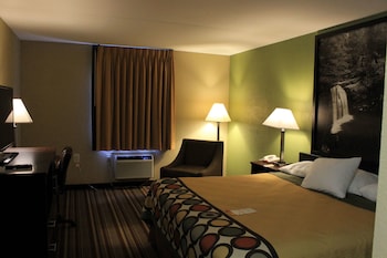 Room, 1 King Bed, Non Smoking