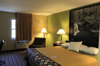 Room, 1 King Bed, Non Smoking