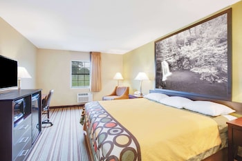 Room, 1 King Bed, Non Smoking