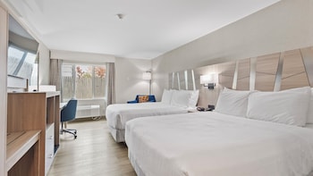 Standard Room, 2 Queen Beds, Non Smoking, Refrigerator & Microwave