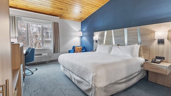 Standard Room, 1 King Bed, Non Smoking, Refrigerator & Microwave