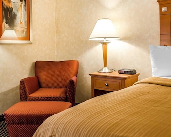 Business Room, 1 King Bed, Non Smoking