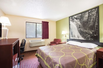 Room, 1 Queen Bed, Non Smoking