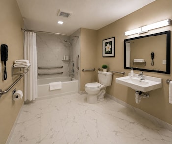 1 Queen Mobility Accessible Room