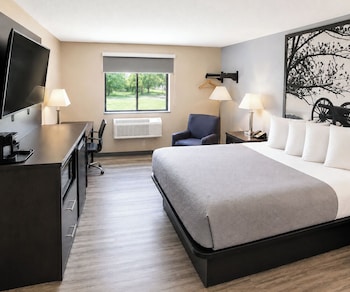 Studio Suite, 1 King Bed