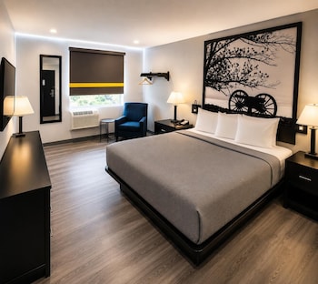 Standard Room, 1 King Bed