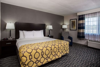 Room, 1 King Bed, Accessible, Non Smoking