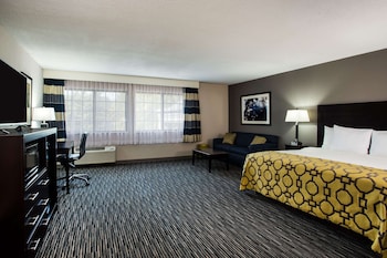 Room, 1 King Bed, Accessible, Non Smoking