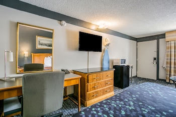 Room, 1 King Bed, Non Smoking (Microwave and Fridge in-room)