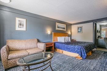 Room, 1 King Bed, Non Smoking (Microwave and Fridge in-room)