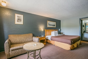 Room, 1 King Bed, Smoking (Microwave and Fridge in-room)