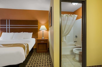 Standard Room, 1 King Bed with Sofa bed, Non Smoking
